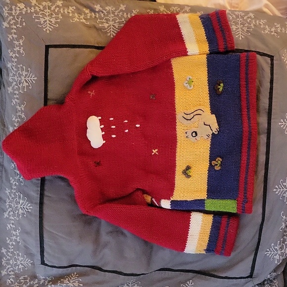 Sweater- Handmade in Peru Kid's- Alpaca Zip up Unisex hoodie with Pockets - Picture 2 of 7